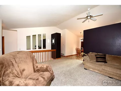 1111 Alpine Ct, Windsor, CO 80550 photo 15