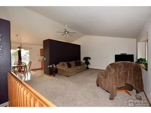 1111 Alpine Ct, Windsor, CO 80550 photo 19