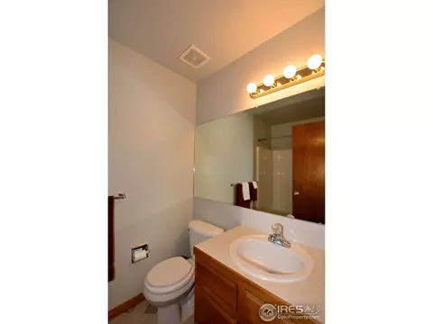 1111 Alpine Ct, Windsor, CO 80550 photo 9