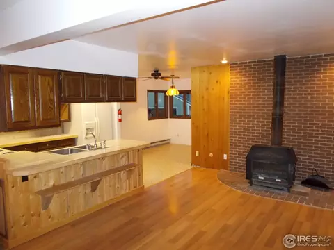 124 Fraser Ave, Fraser, CO 80442 photo 4
