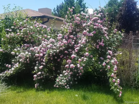 16891 E Brown Pl, Aurora, CO 80013 photo 4