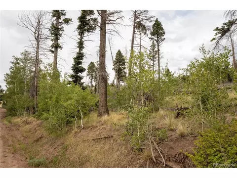 2571 Andes Loop, Fort Garland, CO 81133