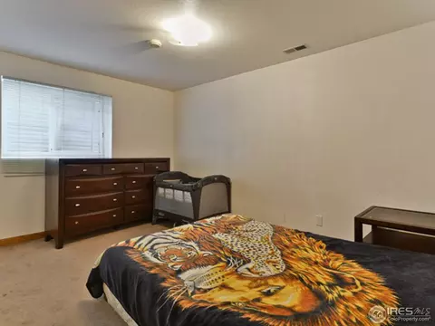 336 Walnut Dr, Frederick, CO 80530 photo 20