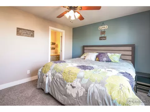 1917 Mahogany Way, Severance, CO 80550 photo 13