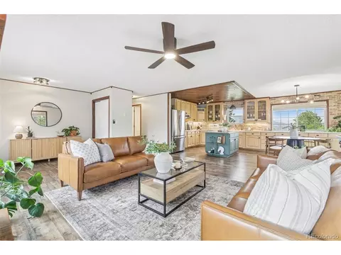 Living - 278 Overlook Dr, Bailey, CO 80421 photo 5 of 9