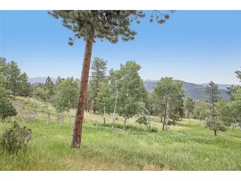 Other - 278 Overlook Dr, Bailey, CO 80421 photo 8 of 8