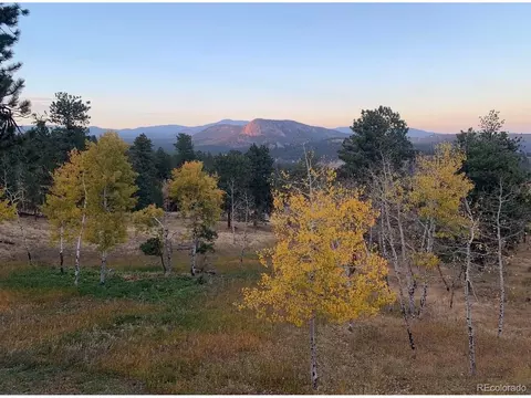 Other - 278 Overlook Dr, Bailey, CO 80421 photo 6 of 8