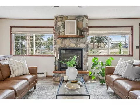 Living - 278 Overlook Dr, Bailey, CO 80421 photo 3 of 9
