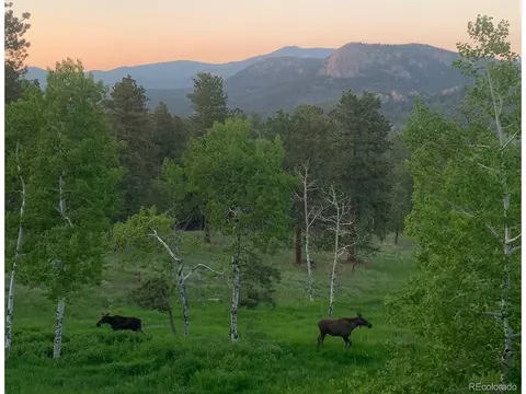 Other - 278 Overlook Dr, Bailey, CO 80421 photo 7 of 8