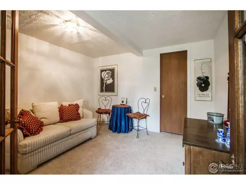 372 Blue Spruce Rd, Black Hawk, CO 80422 photo 18