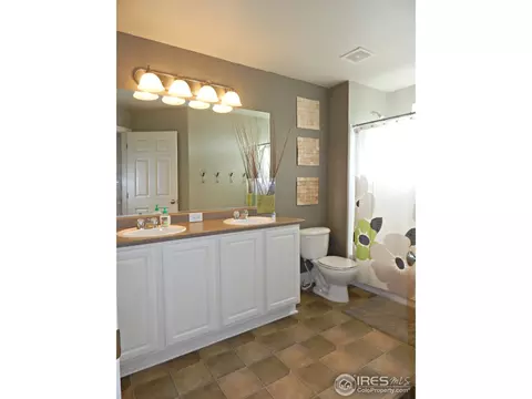 8067 Raspberry Dr, Frederick, CO 80504 photo 29
