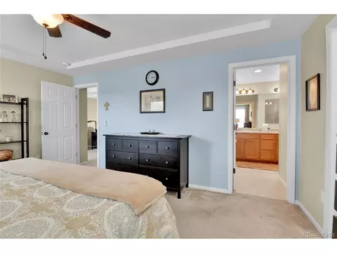 18244 E 45th Pl, Denver, CO 80249 photo 24
