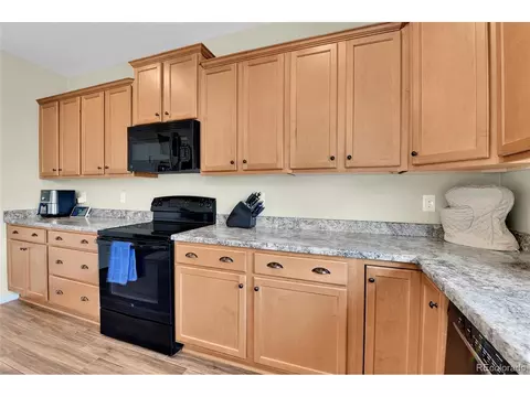 18244 E 45th Pl, Denver, CO 80249 photo 12