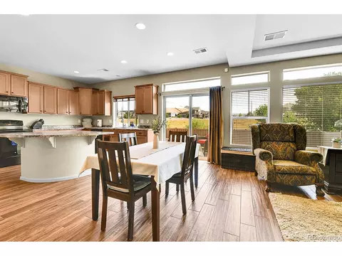 18244 E 45th Pl, Denver, CO 80249 photo 9