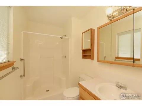 1473 Walnut St, Windsor, CO 80550 photo 20