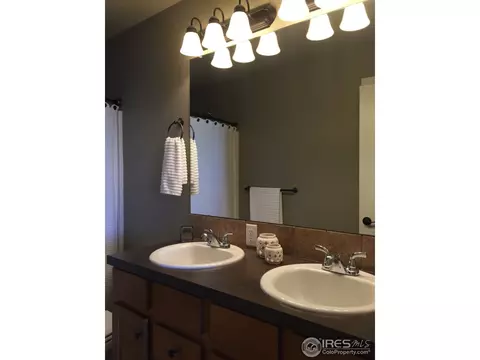 560 Arrow Ct, Windsor, CO 80550 photo 16
