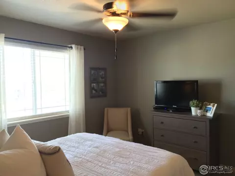 560 Arrow Ct, Windsor, CO 80550 photo 14