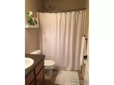 560 Arrow Ct, Windsor, CO 80550 photo 21