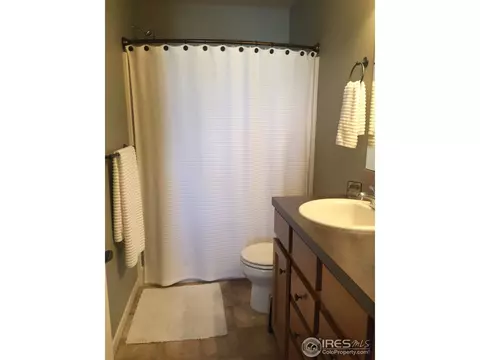 560 Arrow Ct, Windsor, CO 80550 photo 15
