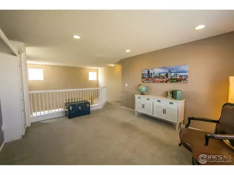 2453 E 127th Dr, Thornton, CO 80241 photo 18