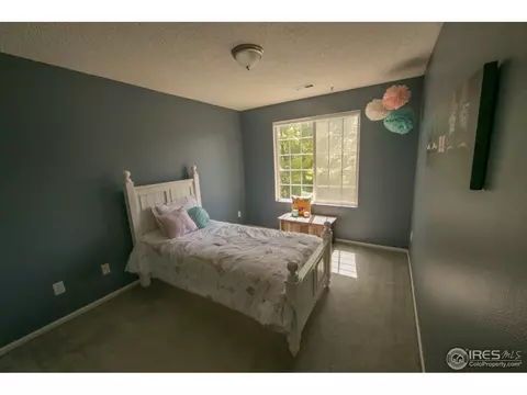 2453 E 127th Dr, Thornton, CO 80241 photo 25
