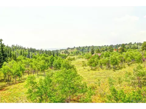 388 Bob White Cir, Como, CO 80432 photo 4