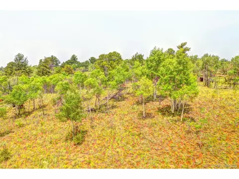 388 Bob White Cir, Como, CO 80432 photo 7