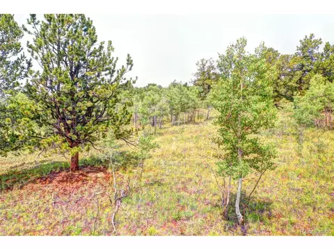 388 Bob White Cir, Como, CO 80432 photo 3