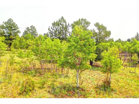 388 Bob White Cir, Como, CO 80432 photo 5