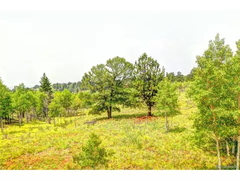 388 Bob White Cir, Como, CO 80432 photo 1
