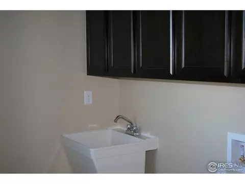 460 Gannet Peak Dr, Windsor, CO 80550 photo 4