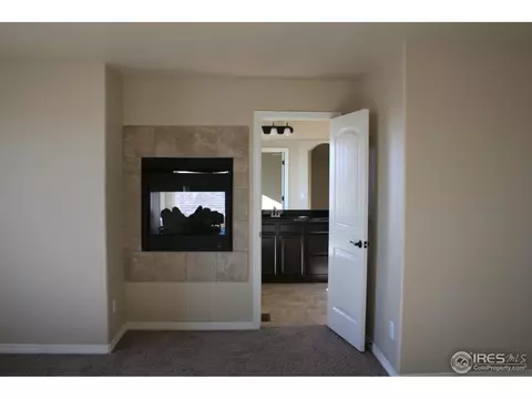 460 Gannet Peak Dr, Windsor, CO 80550 photo 8