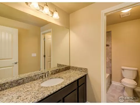 433 Boxwood Dr, Windsor, CO 80550 photo 9