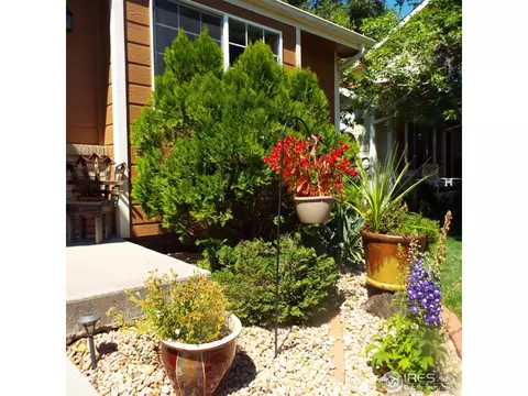2209 41st Ave, Greeley, CO 80634 photo 3