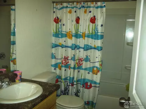 5648 Vine Ave, Firestone, CO 80504 photo 25