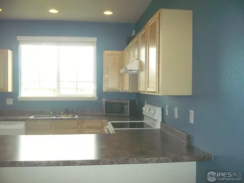 5648 Vine Ave, Firestone, CO 80504 photo 10