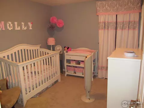 2575 E 131st Ave, Thornton, CO 80241 photo 11