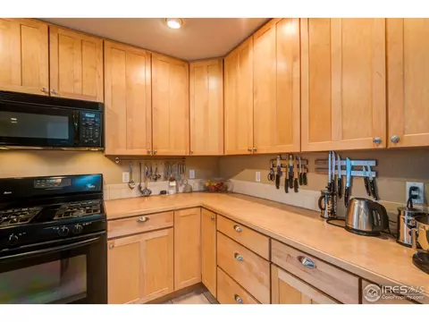 8103 Lighthouse Ln, Windsor, CO 80528 photo 13