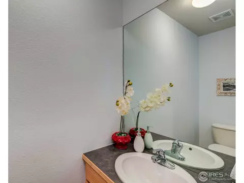 8103 Lighthouse Ln, Windsor, CO 80528 photo 32