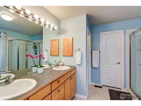 8103 Lighthouse Ln, Windsor, CO 80528 photo 25