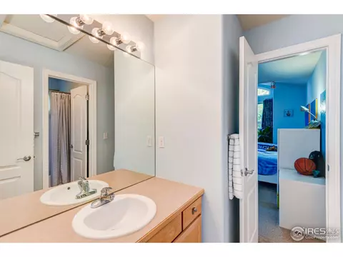 8103 Lighthouse Ln, Windsor, CO 80528 photo 31