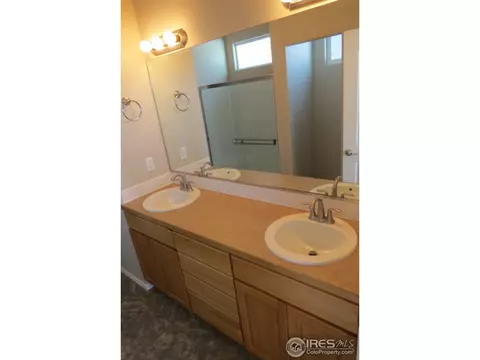 2056 Grain Bin Dr, Windsor, CO 80550 photo 11