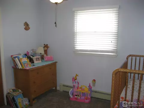 603 N Logan Ave, Fleming, CO 80728 photo 13