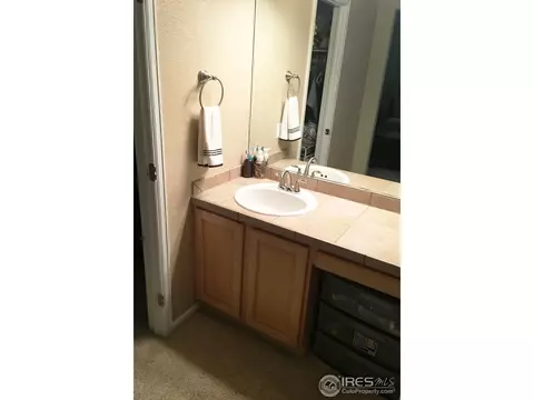 2620 E 136th Pl, Thornton, CO 80602 photo 16