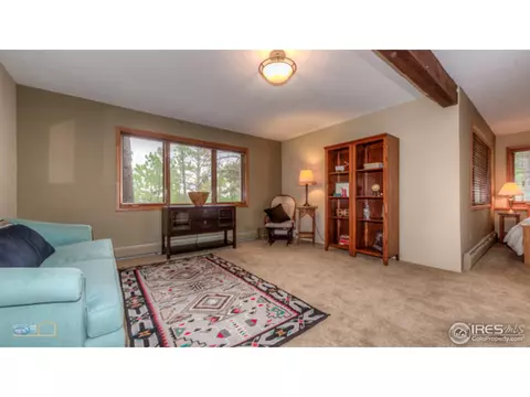 61 Pine Tree Ln, Boulder, CO 80304 photo 31