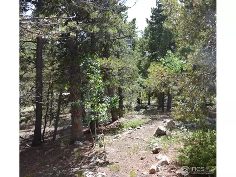 37 Forest Hill Rd, Black Hawk, CO 80422 photo 11
