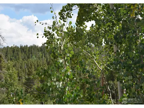 37 Forest Hill Rd, Black Hawk, CO 80422 photo 4