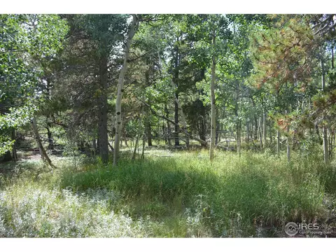 37 Forest Hill Rd, Black Hawk, CO 80422 photo 3
