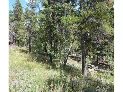 37 Forest Hill Rd, Black Hawk, CO 80422 photo 12