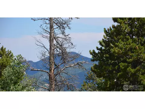 37 Forest Hill Rd, Black Hawk, CO 80422 photo 1